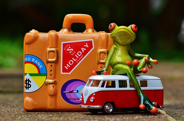 Reise Haustier Checkliste